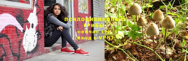 стафф Балабаново