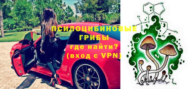 PSILOCYBIN Кулебаки