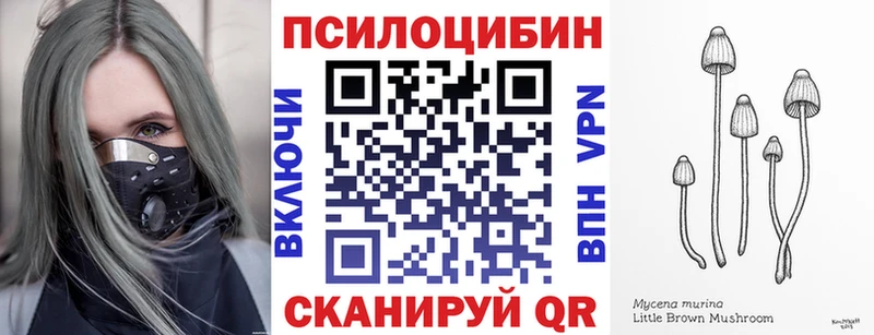 блэк спрут ССЫЛКА  Бирюсинск  Псилоцибиновые грибы Magic Shrooms 